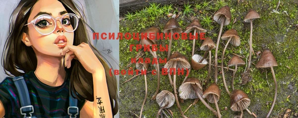 индика Верхнеуральск