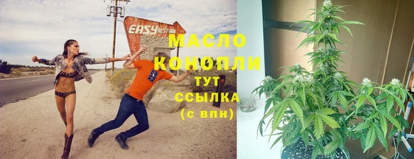 индика Верхнеуральск