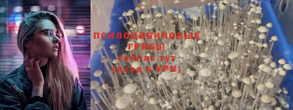 винт Верхний Тагил